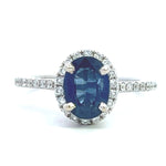 Load image into Gallery viewer, 18K White Gold Sapphire and Diamond Halo Ring