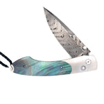 Load image into Gallery viewer, WILLAIM HENRY Spearpoint Blue Buckeye Limited Edition Knife - Limited Edition