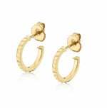 Load image into Gallery viewer, MICHAEL M Foundation Huggie Hoop