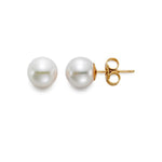 Load image into Gallery viewer, MASTOLONI 7-7.5mm Akoya Pearl Stud Earrings in 18K Yellow gold