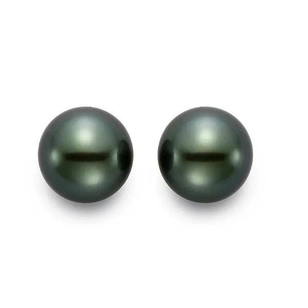 Tahitian Pearl Earrings