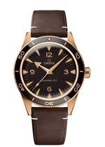 Load image into Gallery viewer, Seamaster Diver 300M  41mm