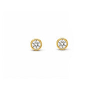 14K Yellow Gold Diamond Bezel Stud Earrings