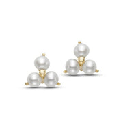 MASTOLONI 14K Yellow Gold 2.5mm Freshwater Pearl Earrings