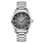 OMEGA Seamaster Railmaster 38mm Stainless Steel Watch - NEW